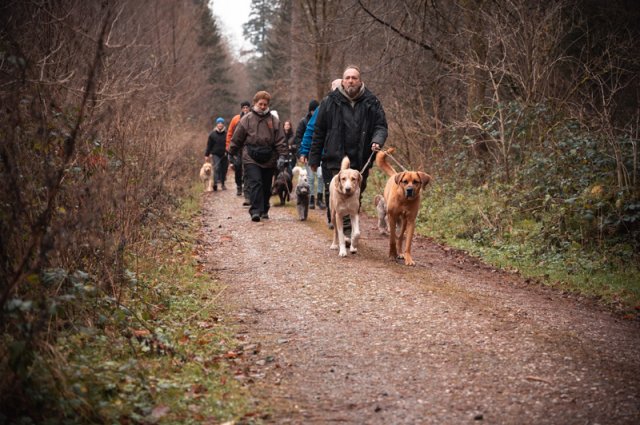 weihnachtsspaziergang_2024_marc_armbrust_2_20241217_1336240633