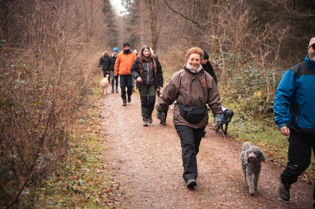 weihnachtsspaziergang_2024_marc_armbrust_3_20241217_1044773787