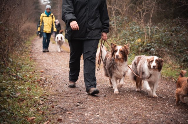 weihnachtsspaziergang_2024_marc_armbrust_5_20241217_1672668096