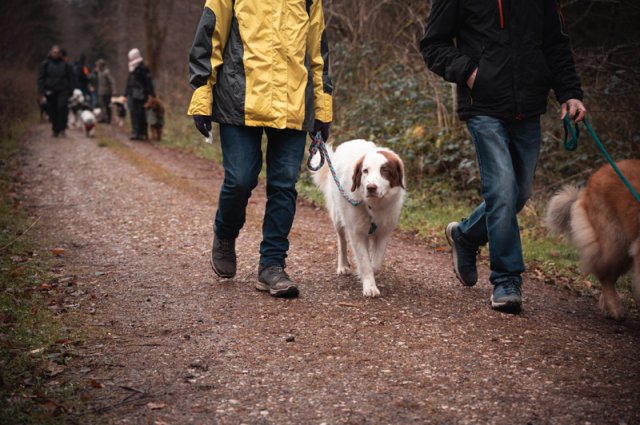 weihnachtsspaziergang_2024_marc_armbrust_6_20241217_1557430800