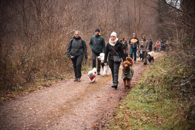 weihnachtsspaziergang_2024_marc_armbrust_7_20241217_1729990815